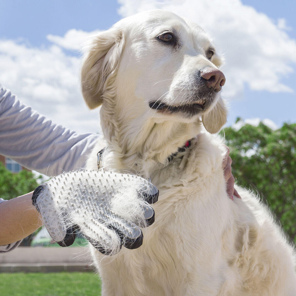 ⚡ PetGlove™ – Guante Cepillo + Masajeador 2 en 1