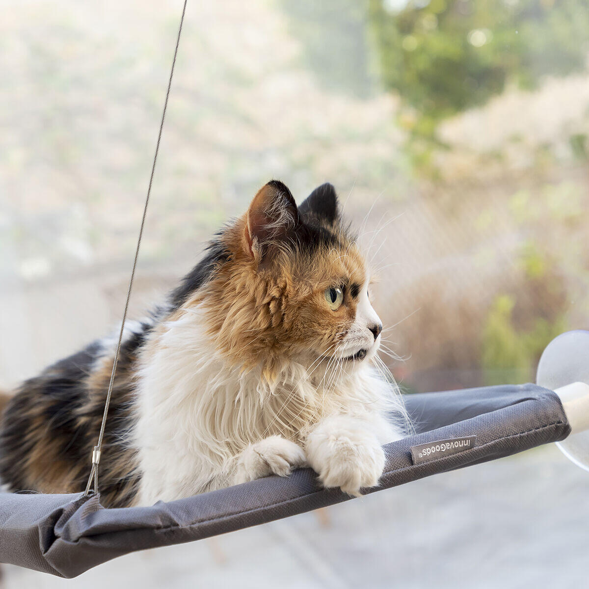 SkyCat™ – Hamaca Colgante para Gatos con Ventosas Ultra-Resistentes