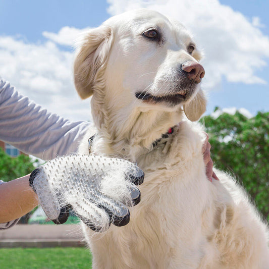⚡ PetGlove™ – Guante Cepillo + Masajeador 2 en 1