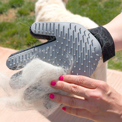 ⚡ PetGlove™ – Guante Cepillo + Masajeador 2 en 1