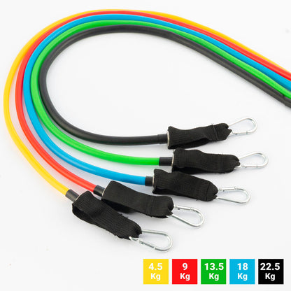 PowerBands Pro™ – Set Premium de Bandas de Resistencia (5 en 1)